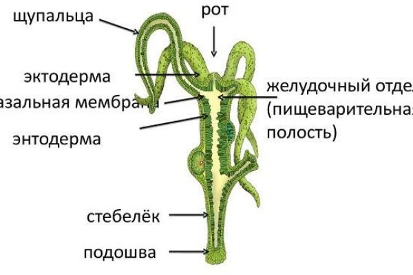 Kraken маркетплейс